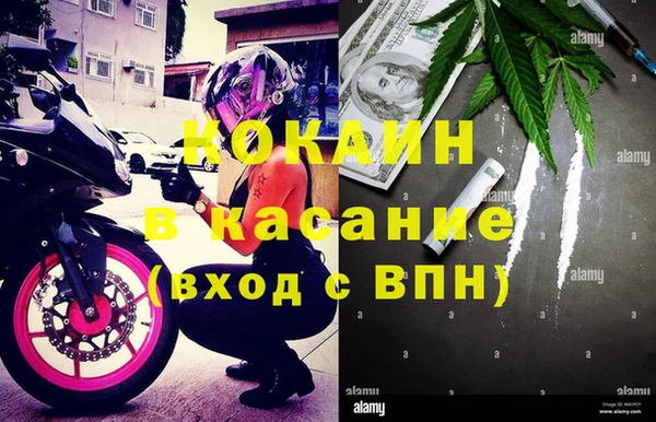 spice Алзамай