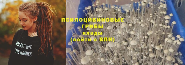 spice Алзамай