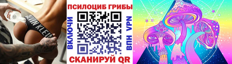 Псилоцибиновые грибы MAGIC MUSHROOMS  Купить закладки  Углич 